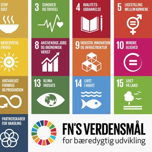 Fn Verdensmaalene 1024X768