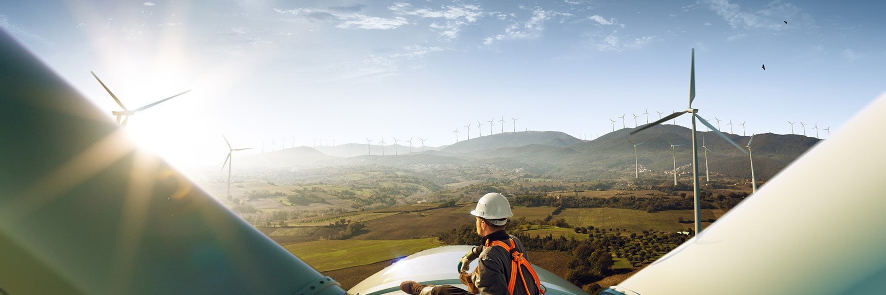 Shutterstock 1257908395