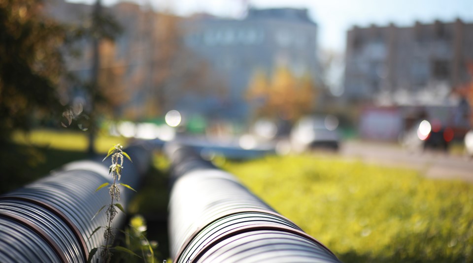 Adobestock 287701220