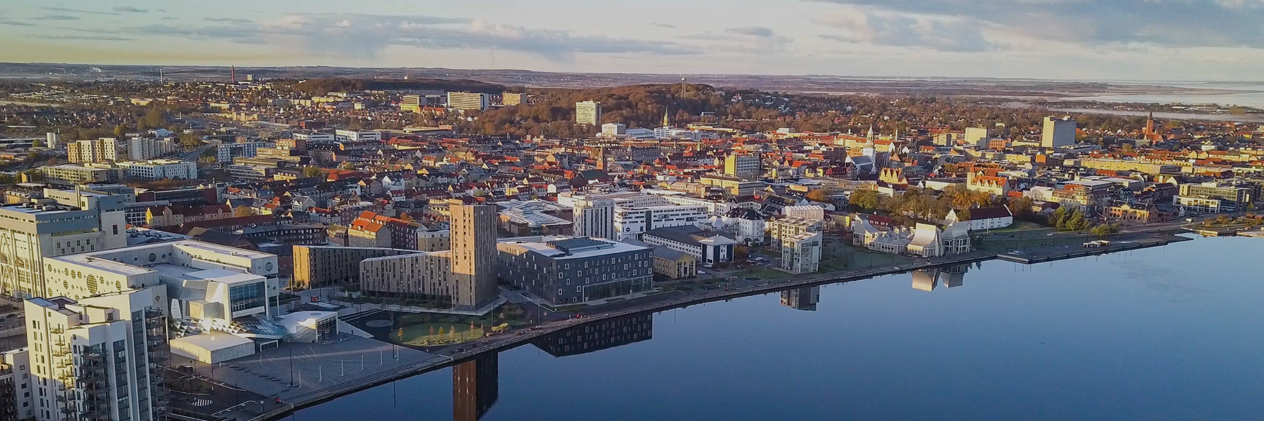 Aalborg Smart Energy Systems