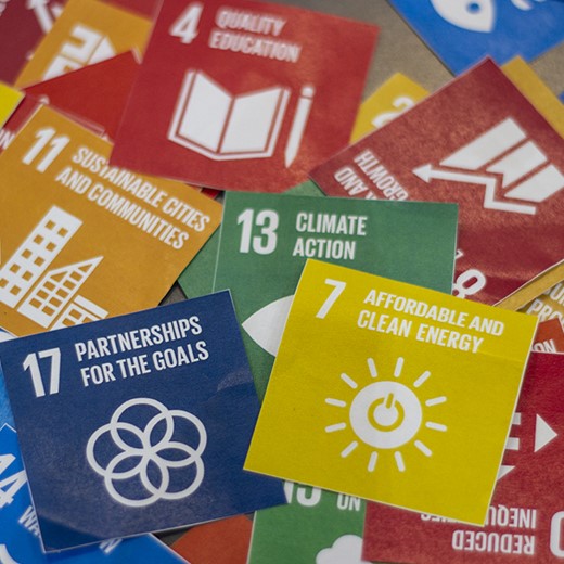 Bæredygtighed Verdensmål